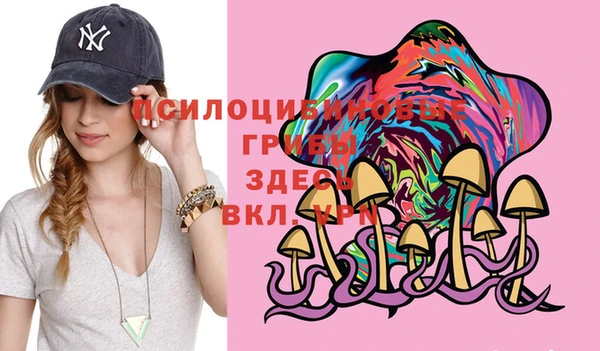 мет Козловка